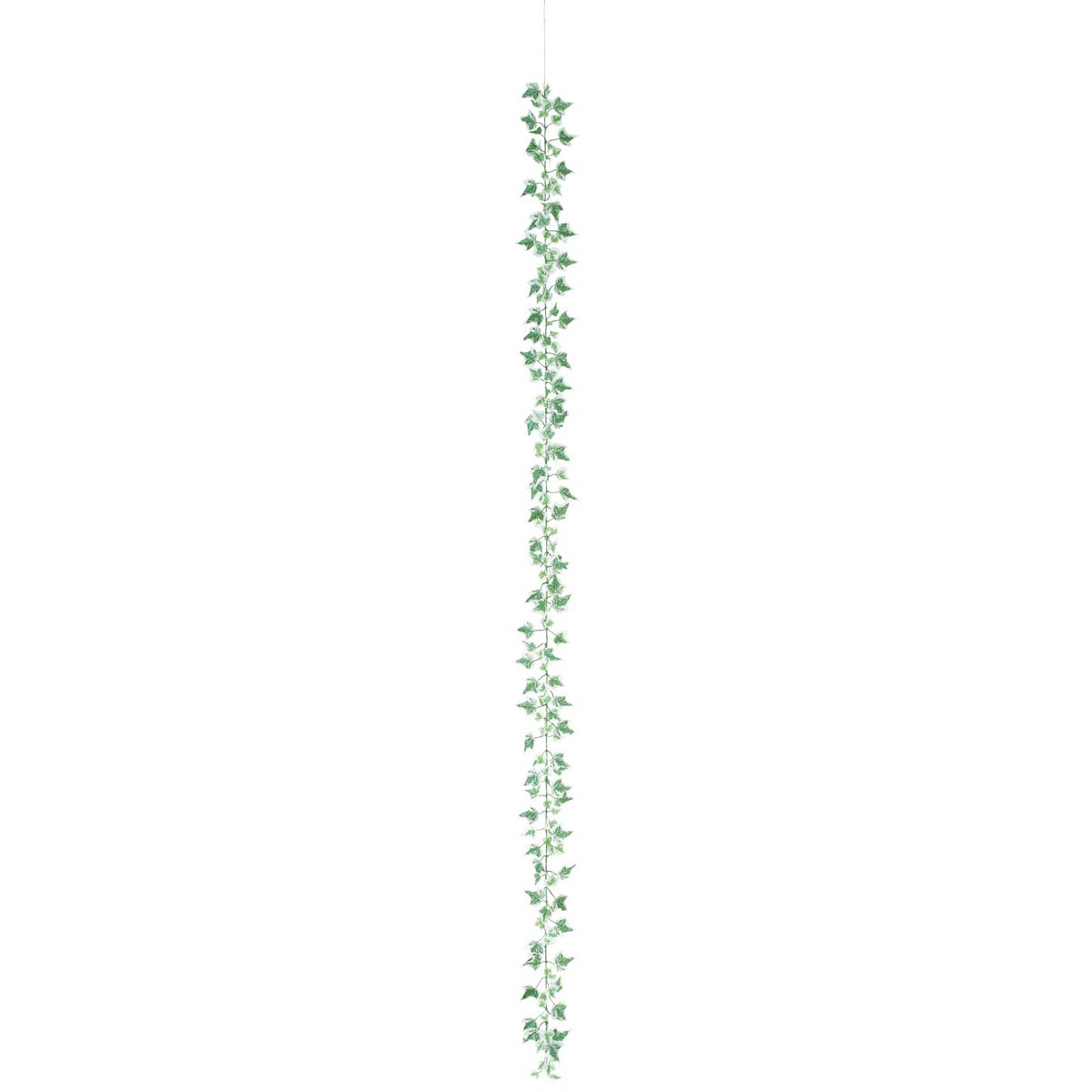 ͹տʪ ߥ˥ӡ 磻䡼 ꡼󡿥ۥ磻 180cm տʪ ¤ ե꡼  CT ...