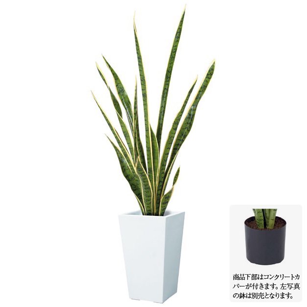 ե꡼ 󥻥٥ꥢ 105cm ꡼󡿥ۥ磻 󥹥٥ꥢ տʪ ¤ 緿 ͹տʪ  CT ƥ...