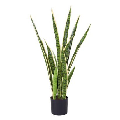 󥻥٥ꥢ 80cm ե꡼ ꡼󡿥ۥ磻 󥹥٥ꥢ ¤ ͹տʪ  CT ƥꥢ ڥ_ [G...