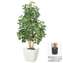 フェイクグリーン 観葉植物 フェイク 人工観葉植物 大型 光触媒 造花 プレミアムカポックツリー M ナチュラルトランク 150cm 大型 人工光触媒 CT触媒...