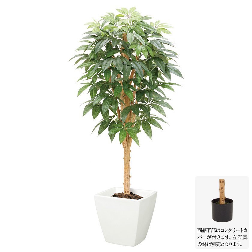 【マラソン期間中P5倍】人工観葉植物 パキラツリー S 150cm ナチュラルトランク フェイクグリーン 大型 観葉植物 造花 光触媒 CT触媒 インテリア [G-L]