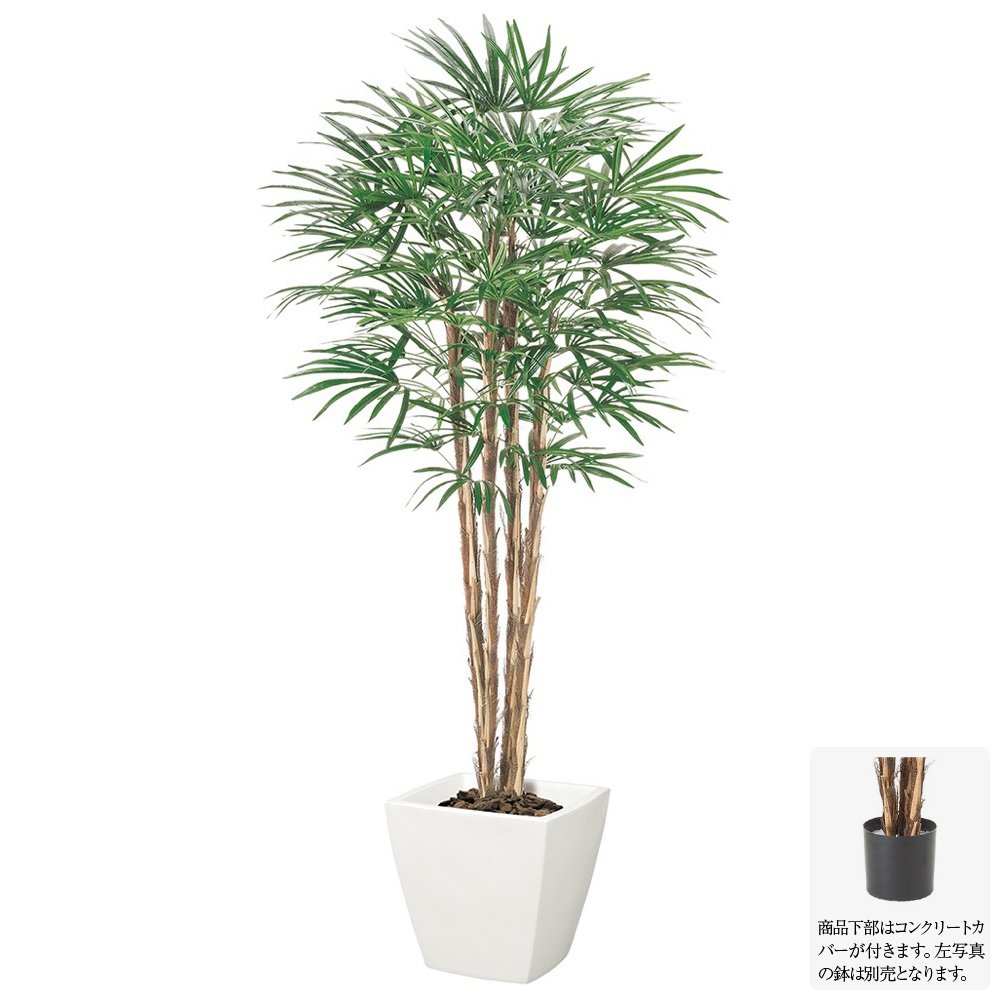 楽天市場】光触媒 フェイクグリーン(種類(植物)シュロチク 楽天市場】光触媒 フェイクグリーン(種類(植物)シュロチク