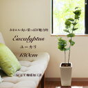 人工観葉植物 フェイクグリーン 観葉植物 造花 光触媒 大型 ユーカリ 130cm 陶器鉢付 インテリア おしゃれ フェイク グリーン CT触媒 消臭 抗菌 お祝い