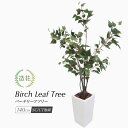 【楽天スーパーSALE 20%OFF】フェイクグリーン 観葉植物 フェイク 人工観葉植物 大型 おしゃれ 光触媒 消臭 抗菌 風水 造花 リビング 本物そっくり...
