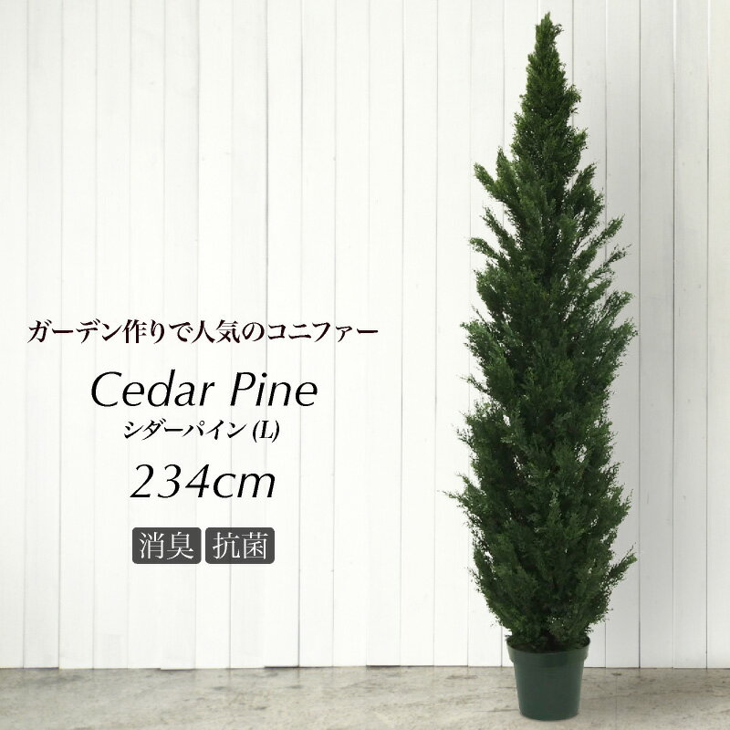 【期間限定20％OFF】シーダーパインツリー L 234cm ゴールドクレスト リアル フェイクグリーン 人工観葉植物 造花 光触媒 大型 鉢植 コニファー クリスマス CT触媒