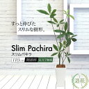 【お買い物マラソン！店内全品P5倍！】スリムパキラ 110cm 鉢植 陶器鉢 CT触媒加工済 フェイクグリーン おしゃれ 観葉植物 フェイク リアル 造花 インテリア 人工観葉植物 光触媒 [fd]