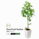 フェイクグリーン 観葉植物 フェイク 人工観葉植物 大型 光触媒 本物そっくり 開運 パキラ ツリー 170cm 人工 造花 光触媒 鉢植 人工樹木 インテリア...