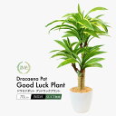 フェイクグリーン 観葉植物 フェイク リアル 人工観葉植物 ドラセナ グッドラックプラント 70cm ラウンド型 陶器鉢 化粧石 ミニ インテリア CT触媒 光...