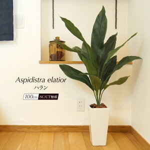 【お部屋にフェイクグリーンインテリア】手入れ不要でおしゃれ！大型観葉植物のおすすめランキング｜わたしと、暮らし。