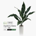 【再入荷】ソードリーフアレンジ 観葉植物 造花 インテリア 枝 モノトーン カフェ 観葉植物 消臭 除菌 光触媒 無光触媒 観葉植物 モダン 大型 造花 黒い 人工観葉植物 人工 和モダン