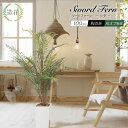 【お買い物マラソン限定 20%OFFセール】フェイクグリーン 観葉植物 フェイク 人工観葉植物 大型 光触媒 消臭 造花 おしゃれ リビング 本物そっくり 鉢植...