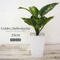 フェイクグリーン 観葉植物 造花 ミニ 人工観葉植物 光触媒 リアルタッチ ゴールデン ディフェンバキア ポット 35cm 鉢植 フェイク グリーン インテリア おしゃれ CT触媒 消臭 お祝い