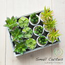 フェイクグリーン 観葉植物 フェイク 人工観葉植物 卓上 ミニ 小さい 光触媒 サボテンアソートセット 10cm 多肉植物 リアル 造花 ミニ 光触媒 インテリ...