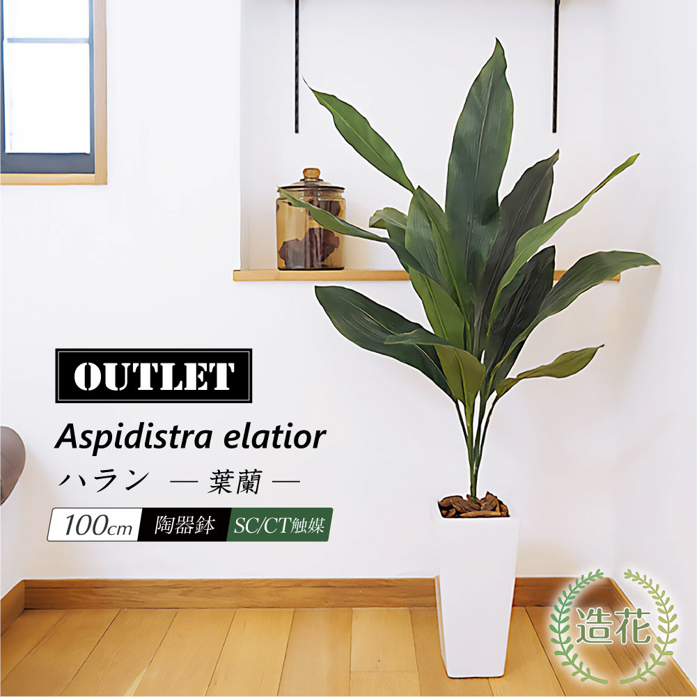 フェイクグリーン 観葉植物 フェイク 人工観葉植物 大型 光触媒 100cm リアル 大型 パーテーション 造花 人工光触媒 鉢植 インテリア おしゃれ CT触媒 消臭 抗菌 お買い得 人気 送料無料 [fd][rcp] / アウトレット 訳あり ハラン（葉蘭） 100cm