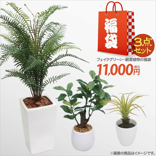 楽天市場 フェイクグリーン アーティフィシャルフラワーの専門店 神戸花物語 フェイクグリーンの神戸花物語 トップページ 楽天市場 フェイクグリーン アーティフィシャルフラワーの専門店 神戸花物語 フェイクグリーンの神戸花物語 トップページ