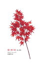 秋の装飾に◎紅葉 モミジ もみじ レッド スプレイ 61cm【観葉植物 造花 SC(CT)触媒・光触...