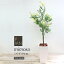 人工観葉植物 フェイクグリーン 観葉植物 造花 光触媒 大型 FIAN ミモザ 94cm 陶器鉢付 アカシア インテリア おしゃれ フェイク グリーン CT触媒 消臭 お祝い