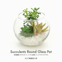 フェイクグリーン 観葉植物 フェイク 人工観葉植物 卓上 ミニ 小さい 光触媒 多肉植物×ガラスポット ハンサム多肉シリーズ ラウンドグラス 造花 グリーン ギ...