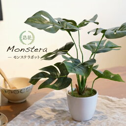 ミニ観葉植物 【ワンダフルデー限定P5倍】母の日 モンステラ テーブルポット 23cm CT触媒加工済 フェイクグリーン ミニ 観葉植物 フェイク リアル 造花 インテリア 人工観葉植物 光触媒 消臭 雑貨 おしゃれ カフェ キッチン[fd] 人気