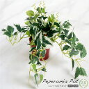 フェイクグリーン 観葉植物 フェイク 人工観葉植物 リアル 卓上 ミニ ペペロミアポット 観葉植物 造花 インテリア おしゃれ フェイク グリーン CT触媒 光...