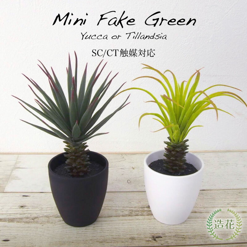 【期間限定20％OFF】フェイクグリーン 観葉植物 フェイク 人工観葉植物 卓上 ミニ 小さい 光触媒 パイナップルユッカポット ミニティランドシアポット 20cm 造花 リアル 人工光触媒 鉢植 20cm インテリア おしゃれ CT触媒 消臭 お祝い 贈り物[fd][nnf]