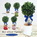 フェイクグリーン 観葉植物 フェイク 人工観葉植物 卓上 ミニ 小さい 光触媒 父の日専用 ボックスウッドトピアリー 30cm リアル 造花 ミニ 人工光触媒 ...