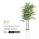 人工観葉植物 リアル フェイクグリーン 観葉植物 造花 光触媒 大型 トネリコツリー 150cm 鉢植 ナチュラルトランク(天然木使用) フェイク グリーン インテリア おしゃれ CT触媒 お祝い 人気