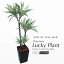人工観葉植物 フェイクグリーン 観葉植物 造花 光触媒 大型 幸福の木 ドラセナ ラッキープラント 3本立 150cm 鉢植 インテリア おしゃれ フェイク グリーン CT触媒 消臭 お祝い