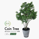 フェイクグリーン 観葉植物 フェイク 人工観葉植物 リアル 金のなる木 コインツリー 65cm 造花 開運 縁起物 光触媒 鉢植 インテリア おしゃれ CT触媒...