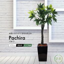 パキラ鉢植え 125cm 観葉植物 フェイク 大型 造花 人工観葉植物 リアル フェイクグリーン 光触媒 インテリア おしゃれ CT触媒 消臭 抗菌 お祝い[fd]