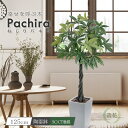 フェイクグリーン 人工観葉植物 大型 光触媒 ねじパキ パキラ ねじねじ 編み込み 鉢植え 観葉植物 フェイク 樹形 人工樹木 造花 インテリア おしゃれ CT...