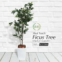 人工観葉植物 フェイクグリーン 観葉植物 造花 光触媒 大型 リアルタッチ フィカスツリー 160cm 鉢植 インテリア おしゃれ フェイク グリーン CT触媒 消臭 お祝い 父の日[fd]