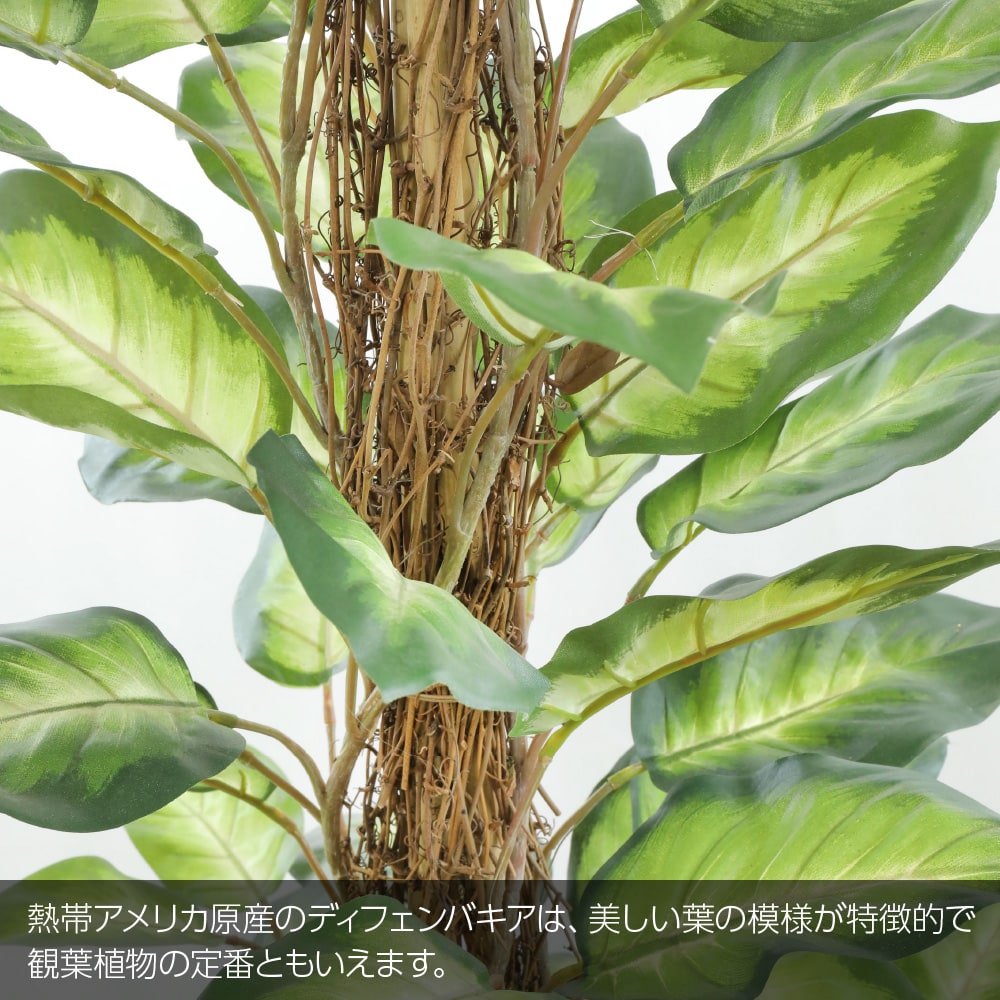 フェイクグリーン 観葉植物 フェイク 人工観葉植物 大型 光触媒 ゴールデンディフェンバキア 150cm 鉢植 陶器鉢 CT触媒加工済 大型 リアル 造花 インテリア 人工光触媒 3