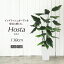観葉植物 造花 ホスタプラント 斑入り 130cm 鉢植 ギボウシ【フェイクグリーン 大型 人工観葉植物 光触媒より優れたSC/CT触媒 フェイク グリーン インテリア お祝い 開店祝い】