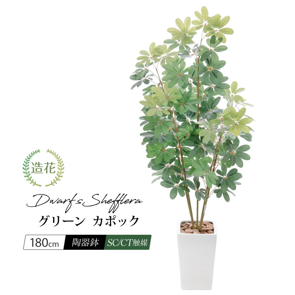 シェフレラ 観葉植物 【マラソン期間中P5倍】ナチュラル グリーン カポック シェフレラ 180cm 鉢植 陶器鉢 CT触媒加工済 フェイクグリーン 大型 観葉植物 フェイク リアル 造花 インテリア おしゃれ 人工観葉植物 光触媒 消臭 お祝 開店祝