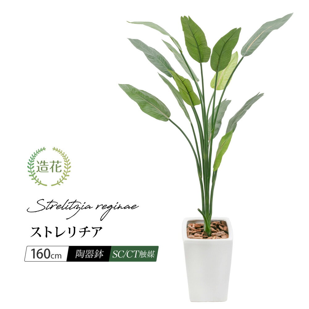 フェイクグリーン 観葉植物 フェイク 人工観葉植物 大型 光触媒 ストレリチア 160cm 陶器鉢付 CT触媒加工 大型 ストレチア レギネ リアル 造花 インテリア 人工光触媒 お祝 御祝 開店祝 開業祝 人気