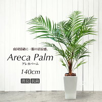 人工観葉植物 フェイクグリーン 観葉植物 造花 光触媒 大型 アレカパーム 140cm M陶器鉢付 アレカヤシ フェイク グリーン インテリア おしゃれ CT触媒 お祝い 父の日 Areca[fd]