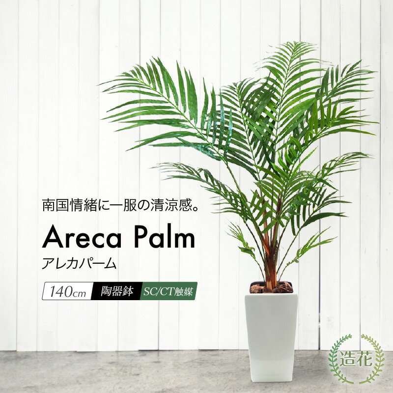 ڥޥ饽P5ܡۥ쥫ѡ 140cm Mƫȭ CT޲ù ե꡼ 緿 տʪ ե ꥢ ¤ ƥꥢ ͹տʪ  쥫䥷 Areca[fd] ͵