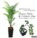 人工観葉植物 フェイクグリーン 観葉植物 造花 光触媒 大型 アレカヤシ アレカパーム 140cm 陶器 M鉢とシサスバインのセット フェイク グリーン インテリア CT触媒 Areca【あす楽】