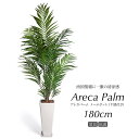 人工観葉植物 フェイクグリーン 観葉植物 造花 光触媒 大型 アレカパーム 180cm 鉢植 トールポット＆下皿セット フェイク グリーン インテリア おしゃれ CT触媒 お祝い Areca