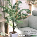 フェイクグリーン 観葉植物 フェイク グリーン 人工観葉植物 大型 ヤシの木 光触媒 消臭 アレカヤシ おしゃれ リビング 大きい 本物そっくり リアル 造花 ...
