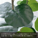 k-hana:10071100のサンプル画像3