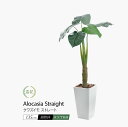 フェイクグリーン 観葉植物 フェイク 人工観葉植物 大型 おしゃれ 光触媒 消臭 抗菌 風水 造花 リビング 大きい 本物そっくり 鉢植え 樹脂鉢 CT触媒 リ...