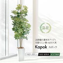 フェイクグリーン 観葉植物 おしゃれ フェイク 人工観葉植物 造花 大型 大きい 光触媒 オシャレ かわいい 消臭 リビング パーテーション ナチュラル 開店祝...