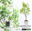 フェイクグリーン 観葉植物 フェイク 人工観葉植物 大型 キンモクセイ 光触媒 FIAN オスマンタスツリー..