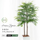 フェイクグリーン 天然木使用 観葉植物 フェイク 人工観葉植物 大型 光触媒 消臭 おしゃれ 北欧 ナチュラル お祝い 開業祝い リビング 開店祝い 新築祝い ...