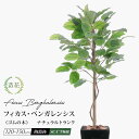 フェイクグリーン 人工観葉植物 天然木使用 大型 光触媒 リアル 造花 消臭 抗菌 おしゃれ お祝い 開業祝い リビング 開店祝い 新築祝い パーテーション ベ...