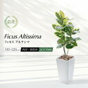 フェイクグリーン 観葉植物 フェイク 人工観葉植物 大型 光触媒 CT触媒 消臭 抗菌 リアルタッチ ゴムの木 ラバープラント 鉢植 インテリア おしゃれ アル...