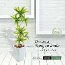 フェイクグリーン 観葉植物 フェイク グリーン 人工観葉植物 本物そっくり 大型 リアル 造花 光触媒 樹脂 鉢 インテリア おしゃれ 小さい 消臭 抗菌 オシ...