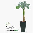 フェイクグリーン 観葉植物 フェイク 人工観葉植物 大型 おしゃれ 光触媒 消臭 抗菌 風水 造花 リビング 大きい 本物そっくり 鉢植え 陶器 CT触媒 リア...